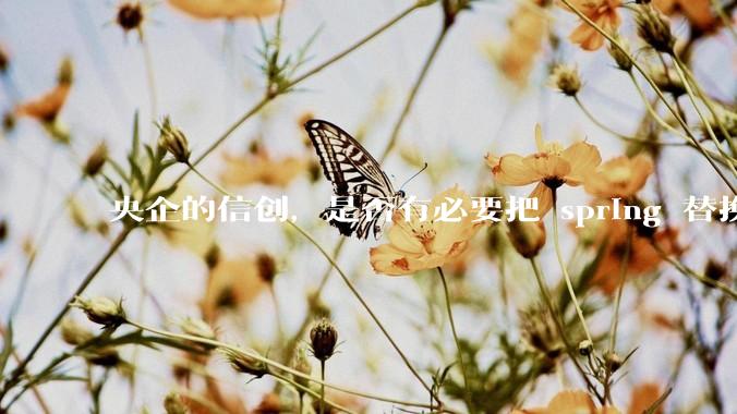 央企的信创，是否有必要把 spring 替换成国产的 solon ？