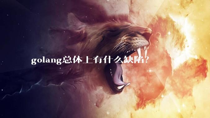 golang总体上有什么缺陷？