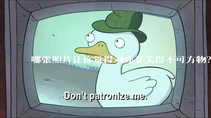 哪张照片让你觉得刘亦菲美得不可方物？