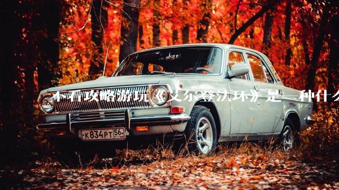 不看攻略游玩《艾尔登法环》是一种什么体验？
